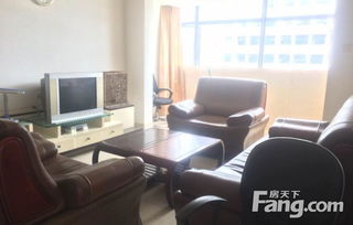 天河城楼上温馨两房，毗邻东莞图书馆——第一国际小区优租房源
